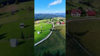 Bucovina de poveste 🌲💚romania bucovina [upl. by Rhodes]