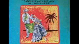 El Torito Jarocho  Conjunto jarocho Villa del Mar de Angel Valencia son jarocho [upl. by Doownil]