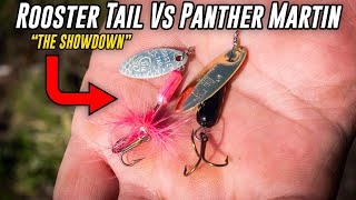 Rooster Tail VS Panther Martin  Trout Fishing SHOWDOWN [upl. by Nnyre570]