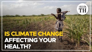 Is climate change affecting your health  The Hindu [upl. by Darice]