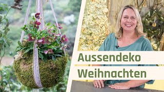 Weihnachtsdeko außen  Mooskugel Kokedama mit Christrosen [upl. by Acenes]