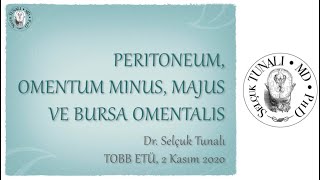 Peritoneum Omentum Minus Omentum Majus ve Bursa Omentalis [upl. by Ehttam]