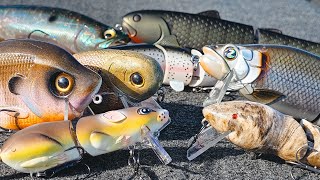 Wakebait Fishing For Bass Everything You Need To Know [upl. by Arrehs860]