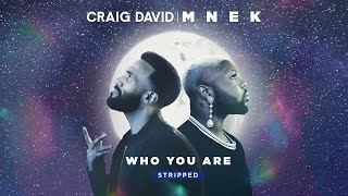 Craig David amp MNEK  Who You Are Stripped Official Audio [upl. by Valdas]