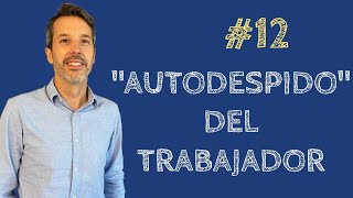 12 ⏩ quotAUTODESPIDOquot por INCUMPLIMIENTOS DE LA EMPRESA con indemnización y paro [upl. by Alig]