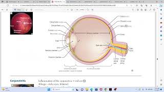 Eye 1 [upl. by Knuth]