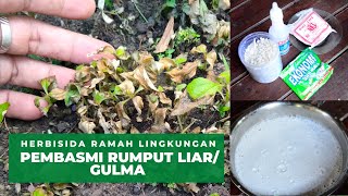 Cara Membuat Pembasmi Rumput Liar Gulma yang Ramah Lingkungan [upl. by Margarette]