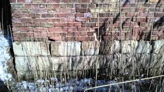 Abandoned Smoke Stack West of 355 Bridge in Lemont IL Below Bluff Road [upl. by Ahsimaj750]