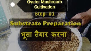 Oyster Mushroom cultivation Step 1  Sterilization of straw  मशरुम उत्पादन हेतु भूसा तैयार करना [upl. by Duntson]