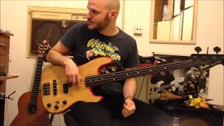 kate bush  babooshka  bass cover  tutorial [upl. by Nadruoj39]