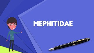 What is Mephitidae Explain Mephitidae Define Mephitidae Meaning of Mephitidae [upl. by Ambrogio]