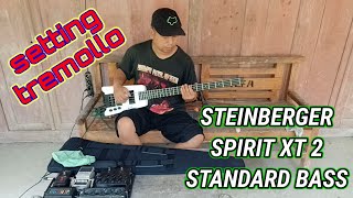 CARA SETTING TREMOLO STEINBERGER SPIRIT XT 2 STANDARD BASS DAN UNBOXING ALAT TEMPUR EFEK BASS [upl. by Bucella54]