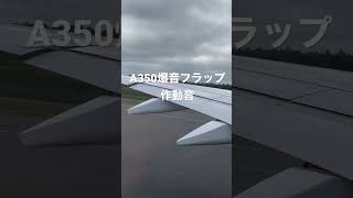 A350 爆音フラップ作動音A350 Flap Bigsound [upl. by Ahcsap406]