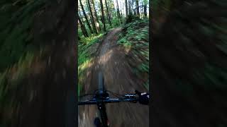 GROUND CONTROL MTB DIRT JUMPSnorcobikes pnw mtb dirtjumps [upl. by Nalyorf920]