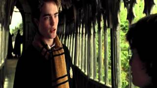 Harry Potter and the Goblet of Fire  FULL Walkthrough 35 HOURS HD [upl. by Zorina]