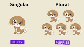 Singular amp Plural  English Grammar  Learn Singular Plural in English Grammar [upl. by Joete]