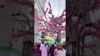 Ajmer sharif dargah  eid milad un nadi status ajmer decoration dargah  ajmer [upl. by Hadeehsar933]