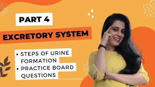 ICSE Class 10 Biology Excretory System Explanation Steps of Urine Formation Ultrafiltration  DRUB [upl. by Tiram]