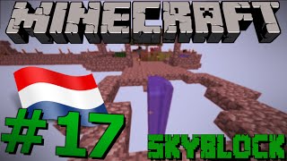 quotVISVIJVER MAKENquot  Minecraft Skyblock Server NL 17 [upl. by Cirderf]