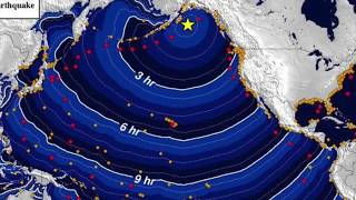 Alerta de tsunami en costa oeste de EEUU y Canadá [upl. by Vedi]