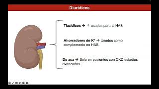 Antihipertensivos I Diuréticos [upl. by Yevette]