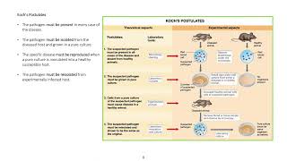 Kochs Postulates [upl. by Jane]