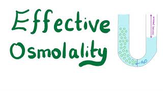 Effective Osmolality [upl. by Angelle397]