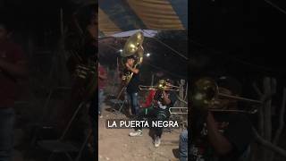 CANCIÓN LA PUERTA NEGRA CON BANDA DE TEJOCOTE GUERRERO [upl. by Solita]