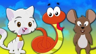 animali suonano canzone  educativo video  animali per bambini  Animals sound Song  Kids Learning [upl. by Tuinenga112]