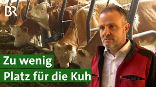 Kühe in Anbindehaltung Wenig Platz für große Tiere  Unser Land  BR [upl. by Koerlin822]