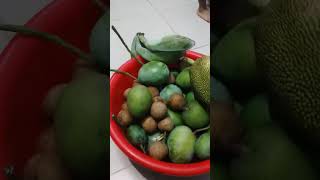 Arham er nana bari fruit 🍑🍑🍑arham cutebaby dhaka babyshar funny poetrypoem poem poetry [upl. by Schwing757]