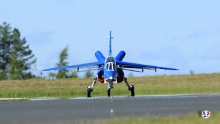 JWM 2017 RCDassault Dornier Alpha Jet Team France [upl. by Yesllek]