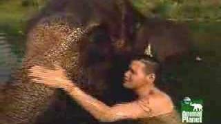 Jeff Corwin and the Psychic Elephant [upl. by Megen]