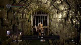 Dark Souls 3 OST  Firelink Shrine  1 HOUR [upl. by Simona964]