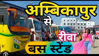 Ambikapur To Rewa By Road🛣️  अंबिकापुर से रीवा बस से  VlogKomaljhivlog vlog बस की सही जानकारी [upl. by Joachima]