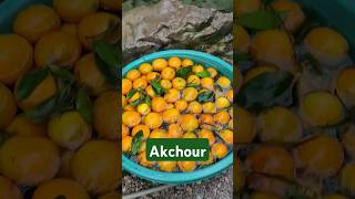 Akchourmoroccotraveldestinationsالشعبالصينيمالهحل [upl. by Hnim]