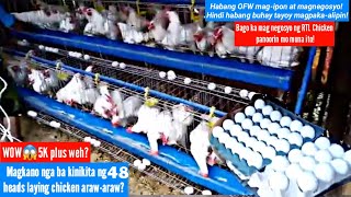 5000 thousand plus sa 48heads Magkano nga ba ang kinikita ng 48 heads laying chicken arawaraw [upl. by Ailalue954]