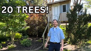 20 Best Trees You Can Grow In Your Front And Backyard [upl. by Nilek259]