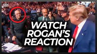 Watch Joe Rogan’s Reaction When Trump Goes Over to Shake His Hand at UFC Event [upl. by Moth]