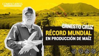 RÉCORD mundial en producción de MAÍZ 🌽  Ernesto Cruz [upl. by Ehcnalb]