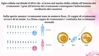 Sistema riproduttore LA RIPRODUZIONE FECONDAZIONE 3 MEDIA SCUOLA SECONDARIA [upl. by Zapot513]