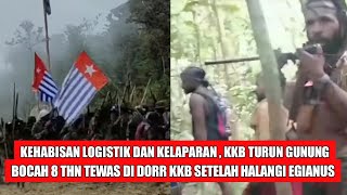 AKHIRNYA KELAPARAN KKB TURUN GUNUNG DAN RAMPAS SEMUA MAKANAN WARGA PAPUA BOCAH 8 THN DI DOR [upl. by Asum]