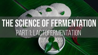 The Science of Fermentation Lactofermentation [upl. by Schnapp]