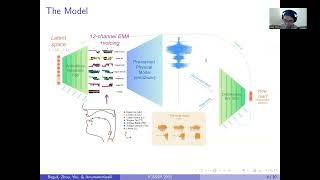 Neuroscience Basics Human Brain Anatomy and Lateralization of Brain Function 3D Animation [upl. by Burtie]