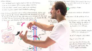 Cholera and GProtein Coupled Signaling [upl. by Horwath]