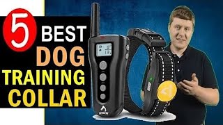 Best Dog Training Collar 20232024 🏆 Top 5 Best Dog Training Collars Reviews [upl. by Carmelia]