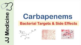 Carbapenems  Bacterial Targets Mechanism of Action Side Effects [upl. by Nocaj]