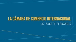 Cámara de comercio internacional  Liz Fernández [upl. by Mellar285]