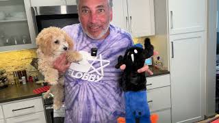 Halloween Dog Toys Review amp Unboxing 4K [upl. by Schaaff]