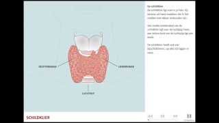 Schildklieraandoeningen [upl. by Merrielle147]